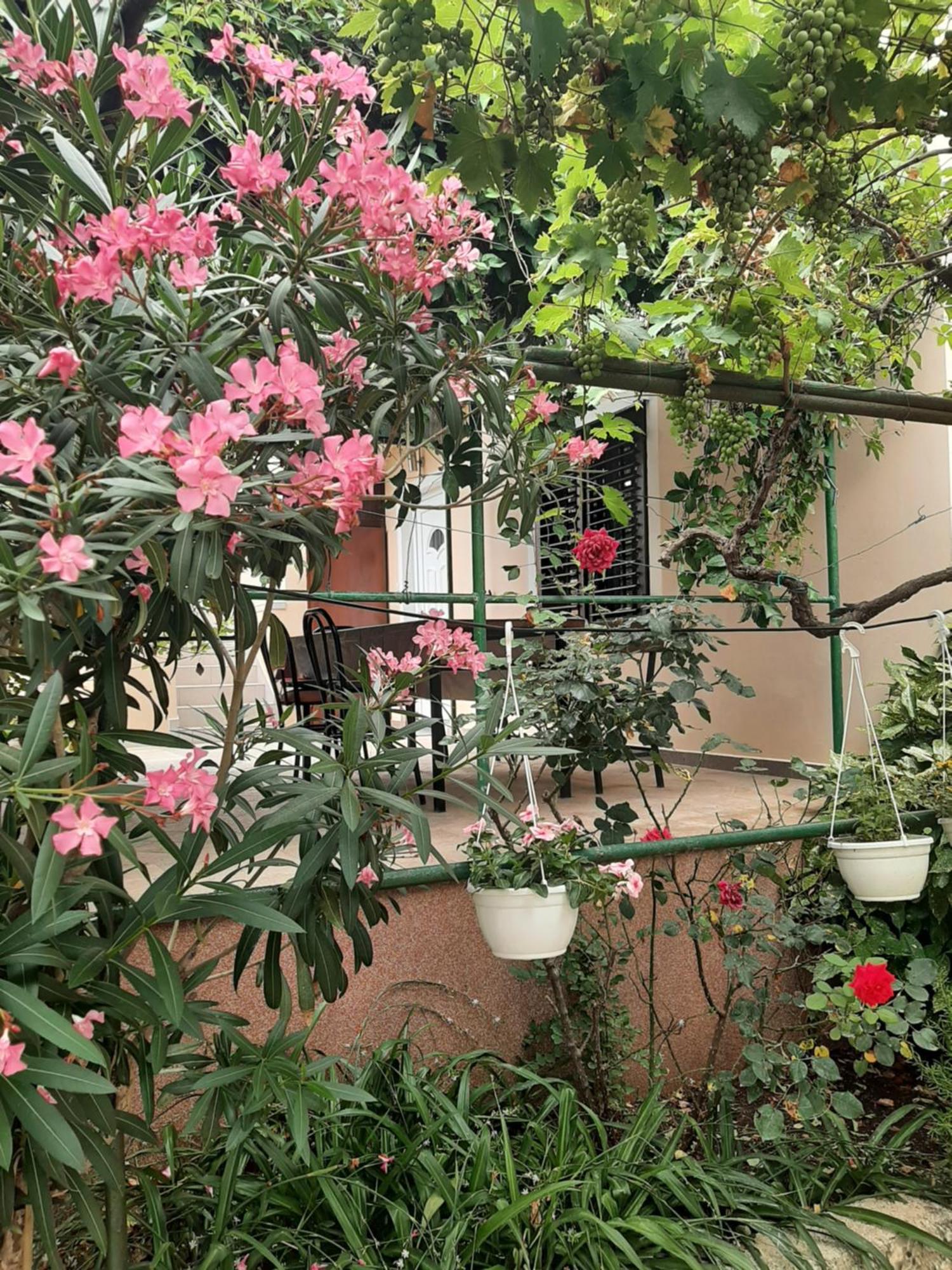 Apartmani Marija Povljana Szoba fotó