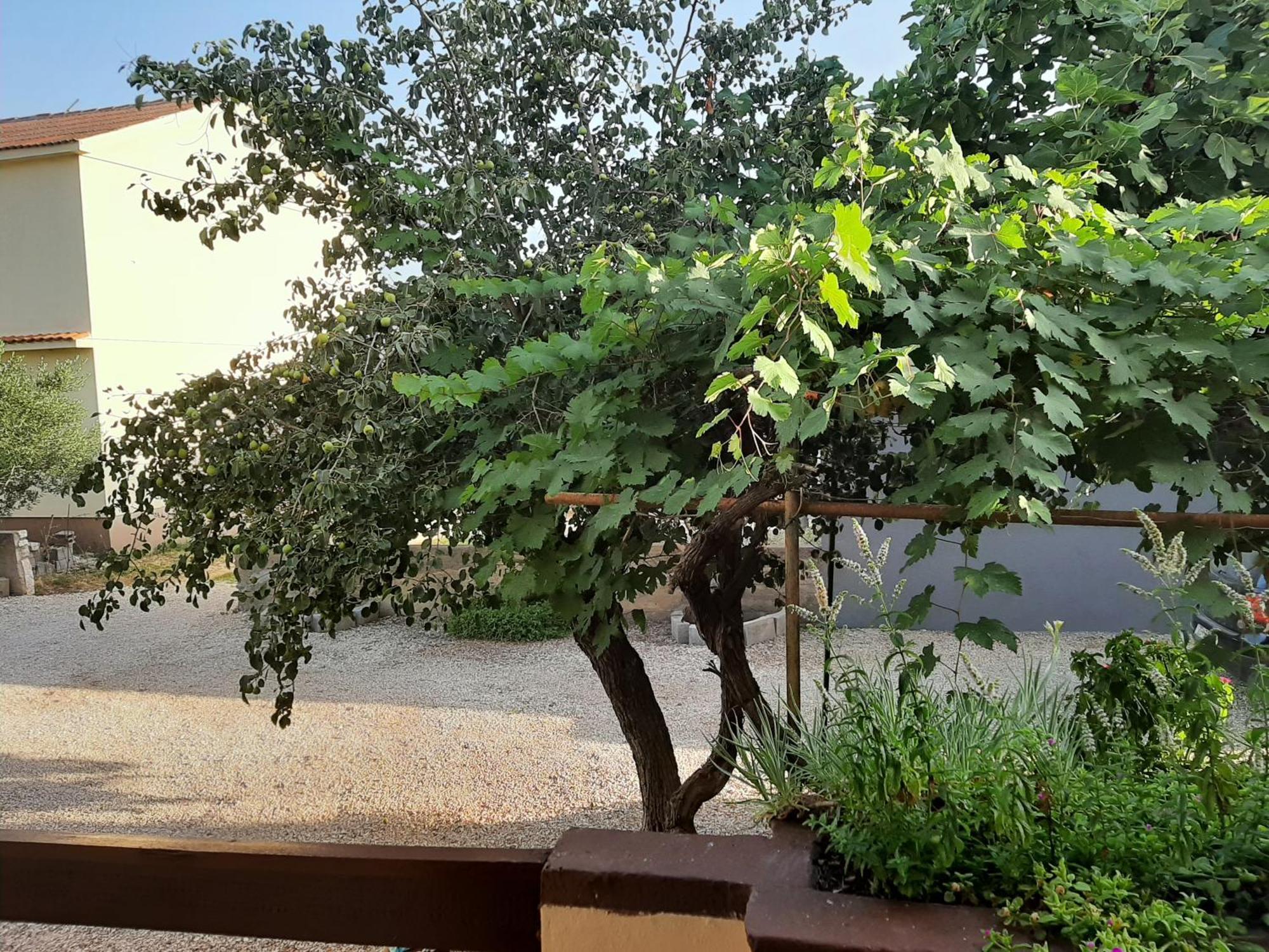 Apartmani Marija Povljana Szoba fotó