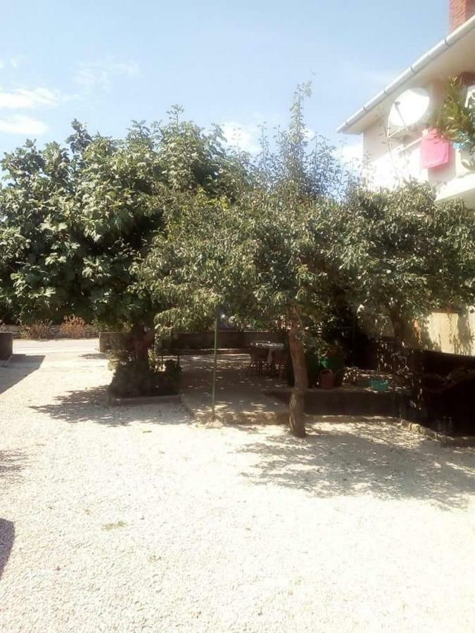 Apartmani Marija Povljana Kültér fotó