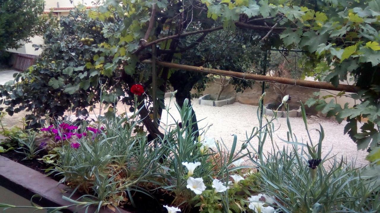 Apartmani Marija Povljana Kültér fotó